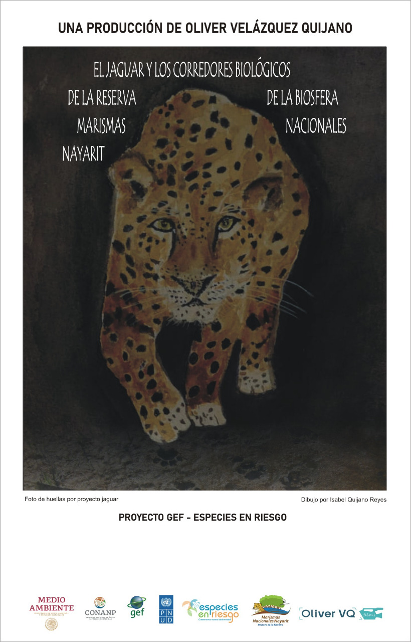 Trailer El jaguar y los corredores biológicos de la reserva de la biósfera de Marismas Nacionales Nayarit, un documental de Oliver Velázquez Quijano