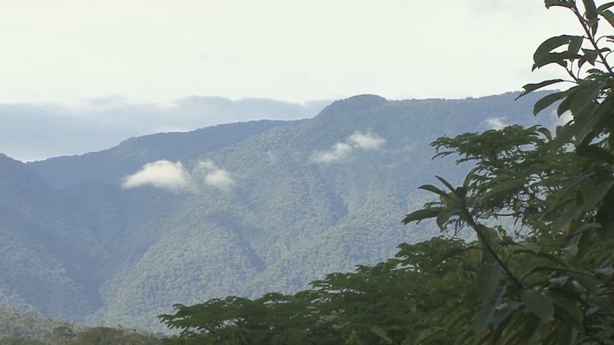 RESERVA DEL BOSQUE LLUVIOSO DE COSTA&nbsp;RICA