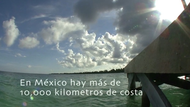 DIA MUNDIAL DE LOS&nbsp;OCÉANOS