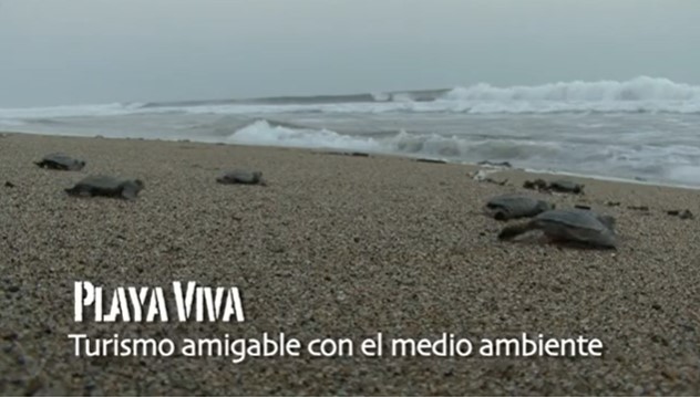 PLAYA VIVA Capítulo 2