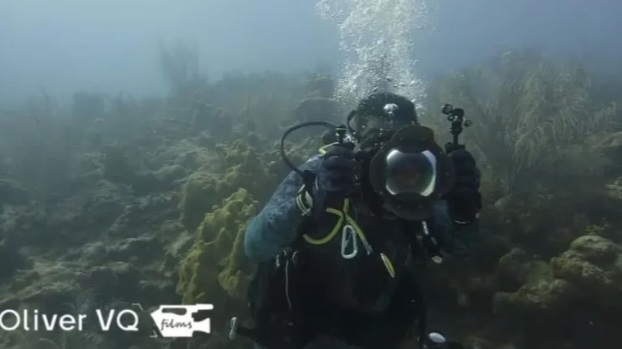 Día Mundial de los océanos 8 de&nbsp;junio
